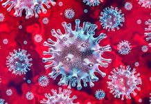 रौतहटमा थप ७ जना कोरोना संक्रमणीत