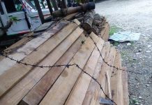 चन्द्रपुरमा साइकलसहित काठ बरामत