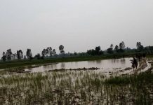 धनुषाको मुखियापट्टीमा पोखरीमा डुबेर ५ बालिकाको मृत्यु