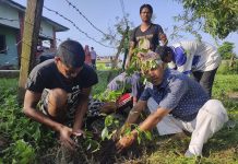 चन्द्रपुर र बृन्दावन नगरमा बृक्षारोपण कार्यक्रम चल्दै
