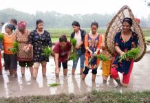 आधुनिकता भित्रिए संगै पूर्वमा हराउन थाल्यो असारे भाका