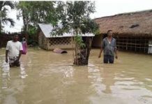 कोशीमा आएको बाढीले सप्तरीको गोबरगाढा जलमग्न