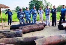 पानीमा लुकाई राखेको अवस्थामा ११ थान सालको गोलीया वरामद