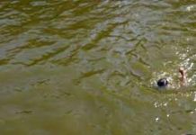 मलामी गएका एक जना खोलामा गायव