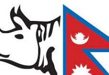 युएईसँग नेपाल २५ रनले पराजित