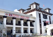 प्रधानमन्त्री र मन्त्रीले समेत पार्टीका लागि भोट माग्न नपाउने