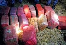 १ सय २० केजी गाँजा बरामद