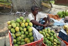 रौतहटका बजारमा विषादीयुक्त आँप छयाप्छयाप्ती