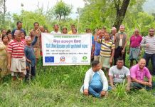 बिश्व वातावरण दिवसः वृक्षारोपण गरी मनाईयो