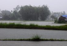 चार प्रदेशमा भारी वर्षाको सम्भावना