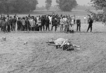 रौतहटमा करेन्ट लागेर खेत जोतिरहेका पुरुषको मृत्यु